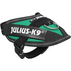 Julius-K9 K-9 Idc® Power Baby Harness