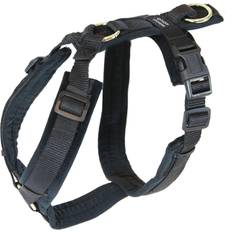 Aucune Active Dog Harness Kentucky Velvet Bleu