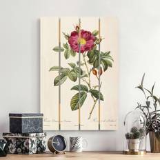 Flooring Holzbild Plankenoptik Pierre Joseph Redouté Portland-Rose
