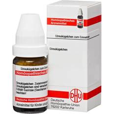 Bodenlautsprecher Dhu-Arzneimittel Fragaria vesca D