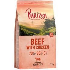 Purizon Katter Husdjur Purizon Adult Beef & Chicken 2,5