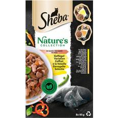 Sheba Nature's Collection Poultry Flavors Pollo Pavo 8 x 85 g