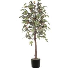 Natural Christmas Trees Vickerman Everyday 6 Frosted Maple Natrural Dragonwood Trunks Christmas Tree