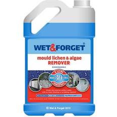 Wet & Forget Mould, Lichen & Algae Remover 1.32gal