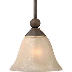 Bronze Ceiling Lamps Hinkley H4667 Bolla Pendant Lamp