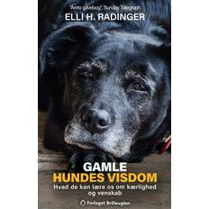 Gamle hundes visdom Gamle hundes visdom (E-bog, 2023)