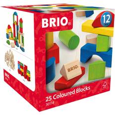 25 Coloured Blocks 30114