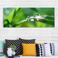 Green Photo Frames Glasbild Blumen Green Ambiance II Bilderrahmen