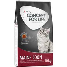 Maine coon adult Concept for Life Maine Coon Adult Ragout