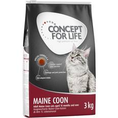 Concept for life maine coon Concept for Life Maine Coon förbättrad