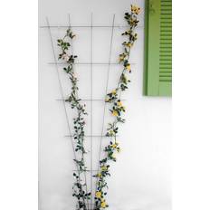 Rosenspalje Bellissa 150X75