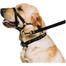 Dog Collars & Leashes - Dogs Pets Ancol Dog Training Halter Head Collar Stop