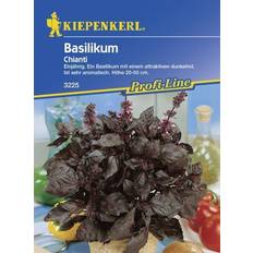 Beste Kräutersamen Kiepenkerl Basilikum Chianti Ocimum basilicum, Inhalt: