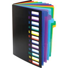 Expanding file folder 24 Clear Pocket Expanding File Folder