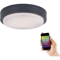 Paul Neuhaus Ceiling Flush Lights Paul Neuhaus Q-Smart, Q-Lenny 2200 Deckenfluter