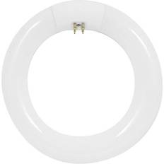 Light Bulbs Feit Electric 82396 FC30/CW 8.8" 30 watt T9 4-Pin Base 4100K Cool White Circular Non-Dimmable