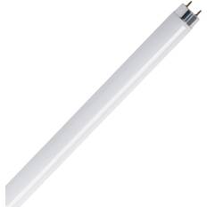 Fluorescent Lamps Feit Electric 90607 F17T8/41K/2 17 watt T8 Medium Bi-Pin Base 4100K Cool White Non-Dimmable 2 Pack