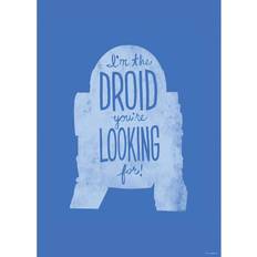 Star wars poster 50x70 Barnrum Komar Star Wars R2D2 50x70cm -022