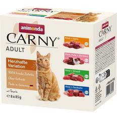 Animonda Carny Pouch Multipack Pack