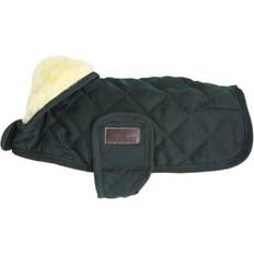 Chien - Vêtements pour chiens Animaux de compagnie vente Kentucky Manteau Pour Chien Original 160g - Vert