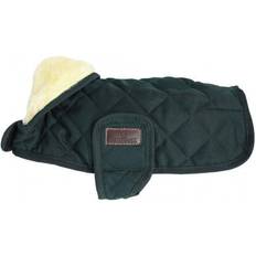 Kentucky Original Dog Coat