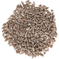 Hulled Sunflower Seeds 2x3kg
