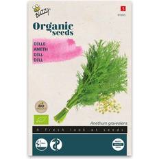 Graines d'herbes Buzzy® Organic Dill Seeds