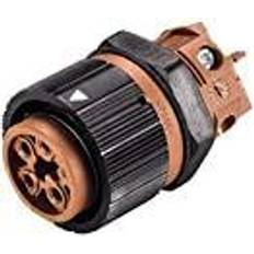 Marron Prises Électriques & Interrupteurs Wieland Electric 46.051.5050.4 Cosse cylindrique mâle embase femelle Nombre total de pôles: 5 Série (connecteur rond) RST MINI 1 pc(s)