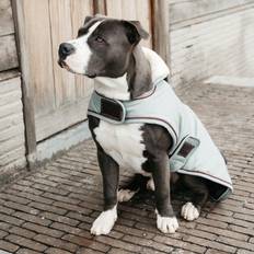 Kentucky vattentät hundkappa 160g