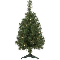 Christmas Trees Northlight 2 Pre-Lit Oakridge Noble Fir Artificial Clear Christmas Tree