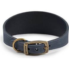 Ancol timberwolf greyhound dog collar