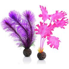 Oase easy plant 2 pack 20cm fish