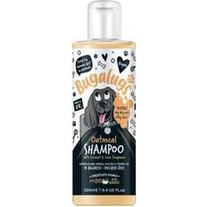Oatmeal & Aloe Vera Dog Shampoo dog