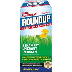 Rasen-Unkrautfrei Konzentrat
