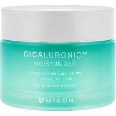 Mizon Cicaluronic™ Nourishing and Moisturizing Cream for Very Dry Sensitive Skin 50ml