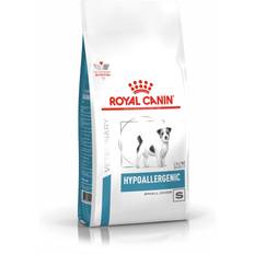 Hypoallergenic Small Dog