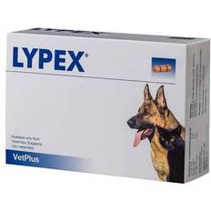 VetPlus Lypex 60 Capsule