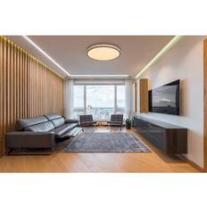 Deckenfluter Globo LED-DECKENLEUCHTE Graphit, Opal Deckenfluter