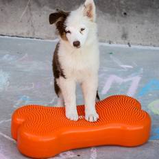 Balance Platform K9FITbone 58x29x10