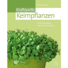 Kräutersamen Stocker Kraftquelle Keimpflanzen