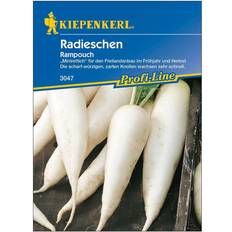 Beste Gemüsesamen Kiepenkerl Radieschen Rampouch ca.