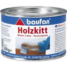 Gießen Baufan Holzkitt