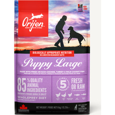 Orijen Animaux de compagnie Orijen Puppy Large 6kg