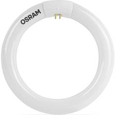 Osram Lumilux T9 C Fluorescent Lamp 22W G10q