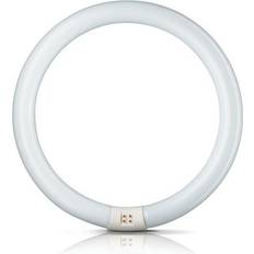 Philips TL-E Fluorescent Lamp 40W G10q