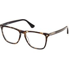 Briller & Læsebriller Web Eyewear WE5390 050 ONE SIZE 55
