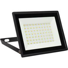 Spectrum LED Noctis Lux 3 Fluter 50W