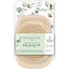 Danielle Eucalyptus Exfoliating Body Sponge Set