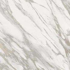 Wallpapers Rasch Dimension Marble White