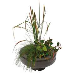 Superfish Floating Pond Plant Basket 22 cm ∅22cm